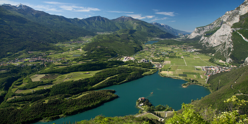 Taste some Vino Santo