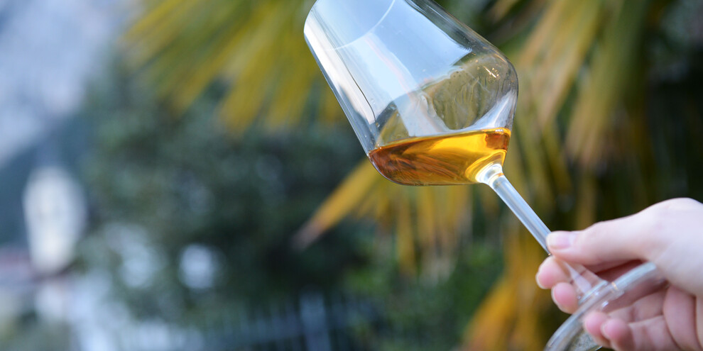 DiVinNosiola, pro Wine Lovers