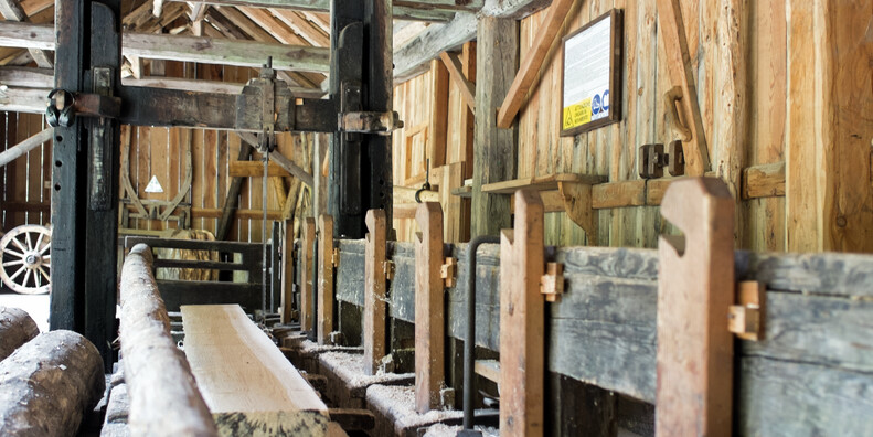 Segherie dei Braghje e dei Bègoi #7 | © Foto Archivio Apt Val di Sole