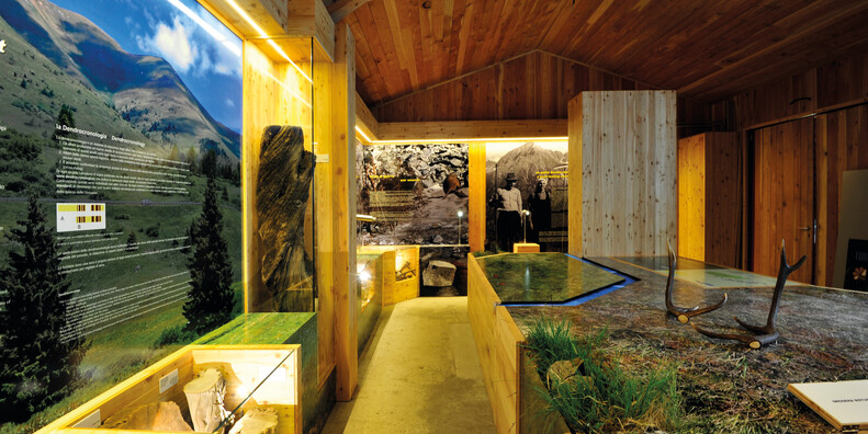 Torbiera del Tonale #3 | © Torbiera del Tonale - Foto Archivio Apt Val di Sole