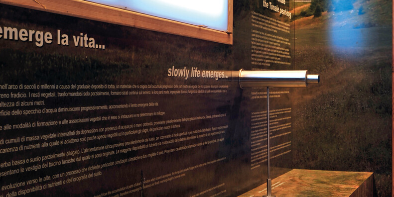 Torbiera del Tonale #5 | © Torbiera del Tonale - Foto Archivio Apt Val di Sole