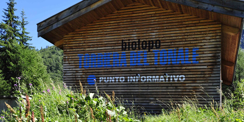 Torbiera del Tonale #2 | © Torbiera del Tonale - Foto Archivio Apt Val di Sole