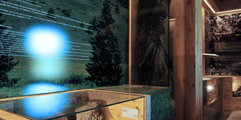 Torbiera del Tonale #4 | © Torbiera del Tonale - Foto Archivio Apt Val di Sole