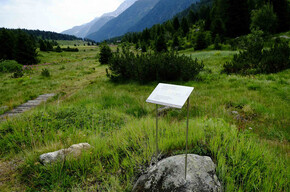 Torbiera del Tonale | © Torbiera del Tonale - Foto Archivio Apt Val di Sole