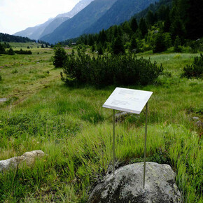 Torbiera del Tonale | © Torbiera del Tonale - Foto Archivio Apt Val di Sole