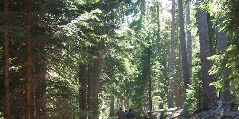 Gedächtnispfad #5 | © Foto Archivio Apt Val di Fiemme