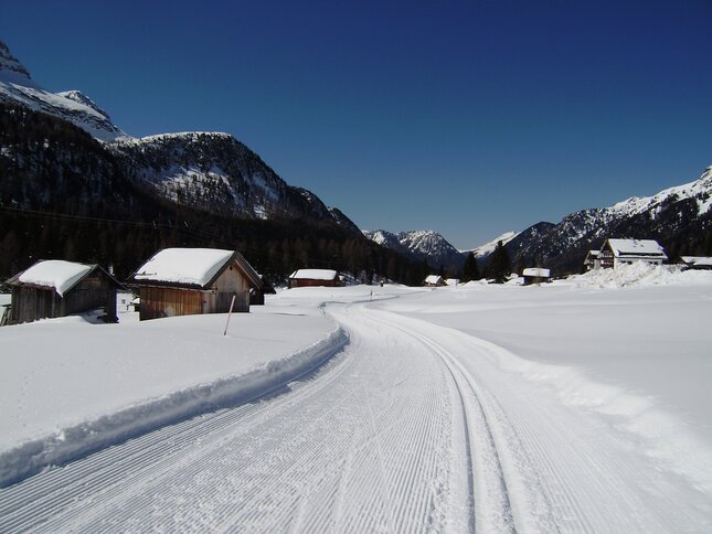 Centro Fondo Moena-Passo San Pellegrino Alochet