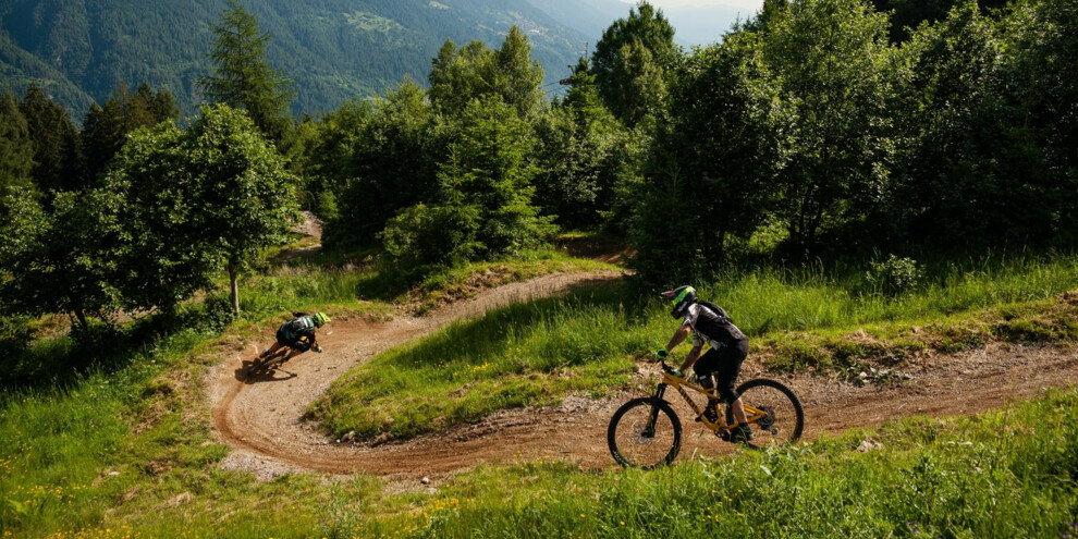 Black Snake Trail - Bike Park Val di Sole