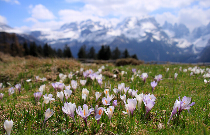 Natur und Wellness im Trentino