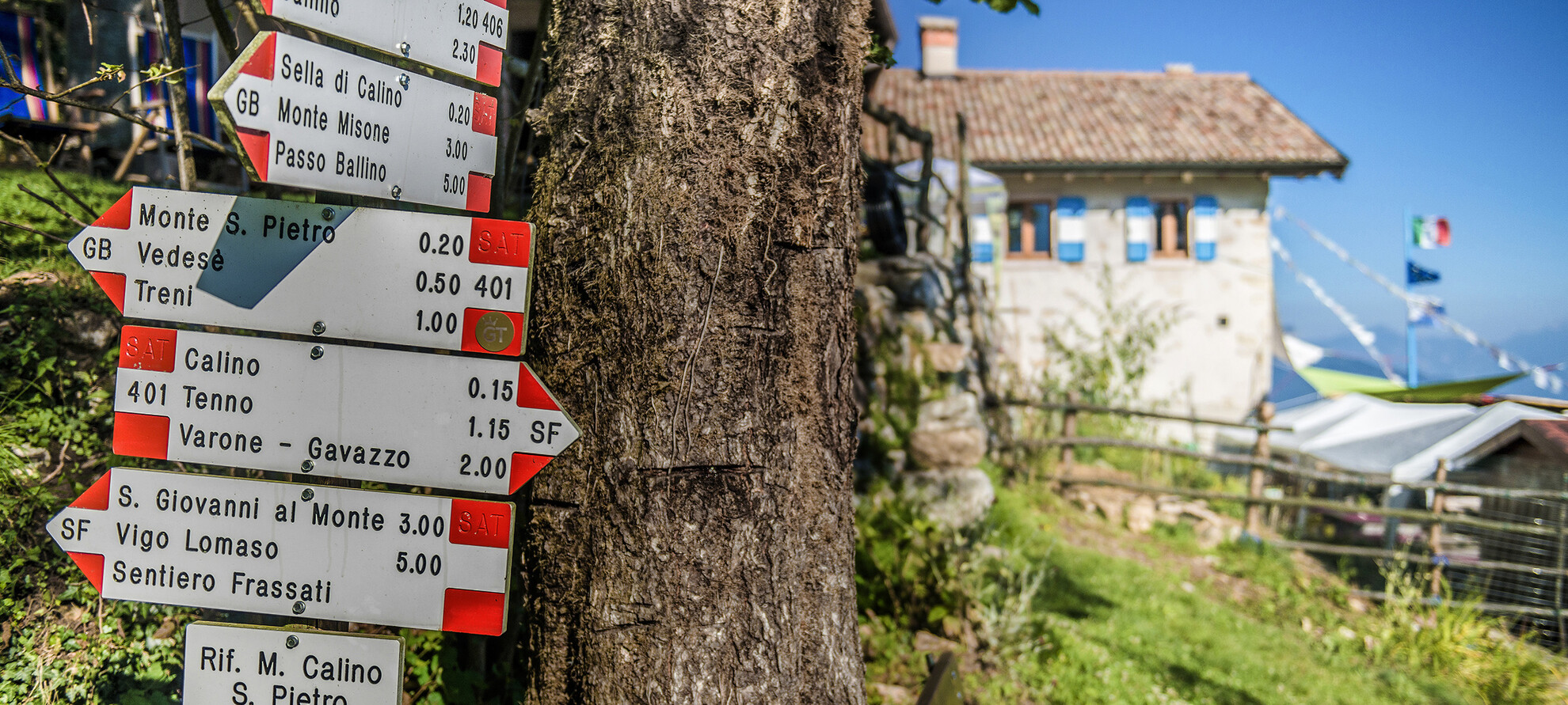 Spring is here again