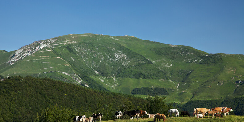 Riserve Bès Corna Piana  #1
