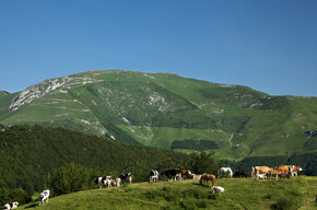 Riserva Bès Corna Piana