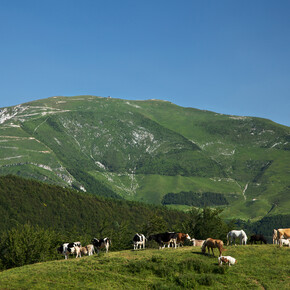 Riserva Bès Corna Piana