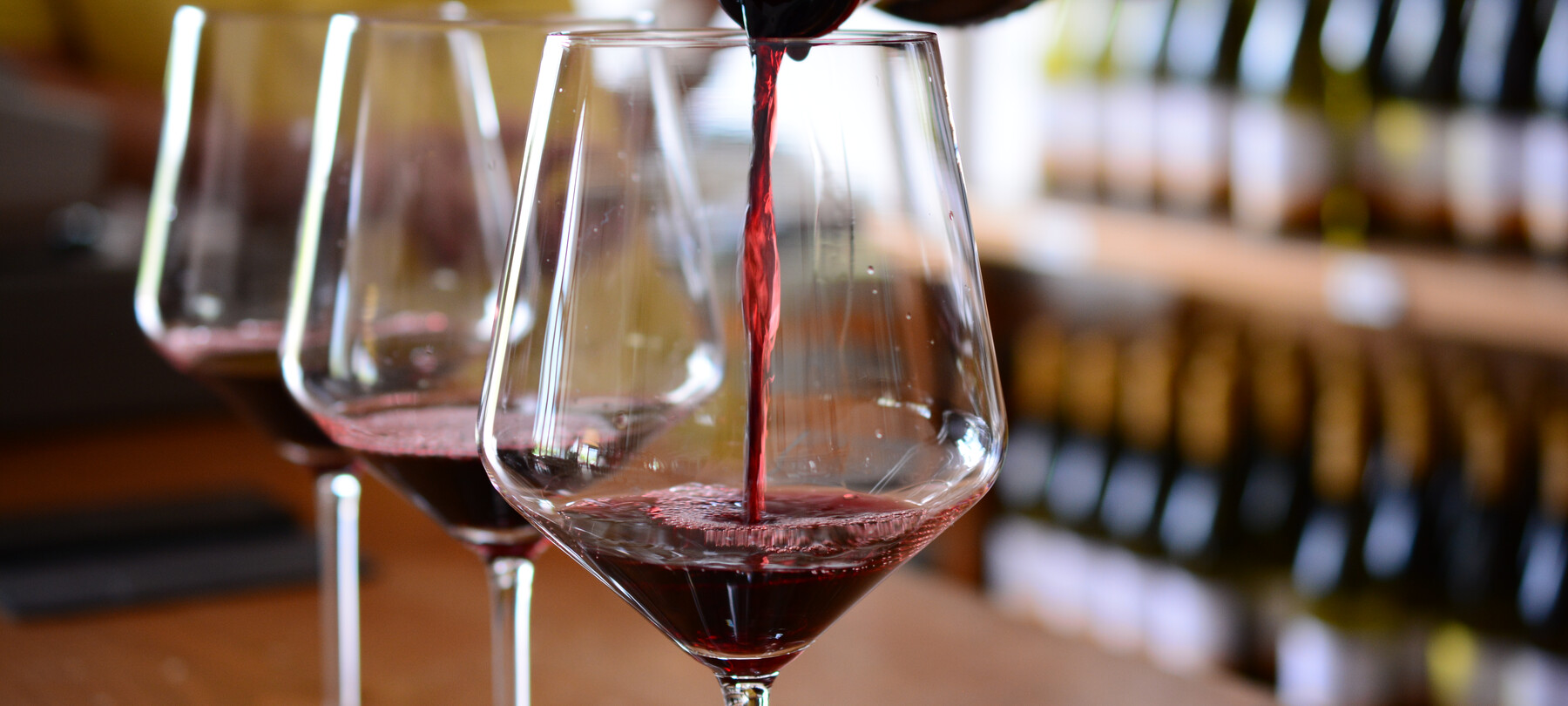 I laghi del Trentino: la storia della cantina Pisoni sul Garda