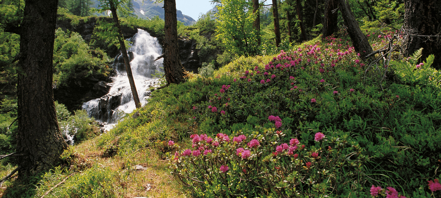 Der Nationalpark Stilfserjoch