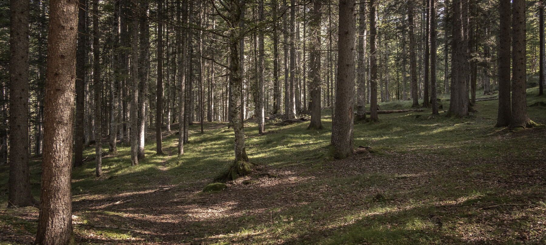 Der Parco Fluviale Sarca und andere Reservate