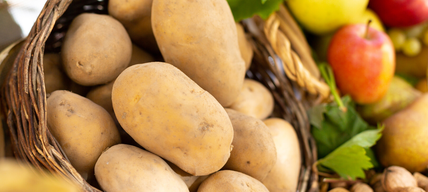 Gesunde Ernährung