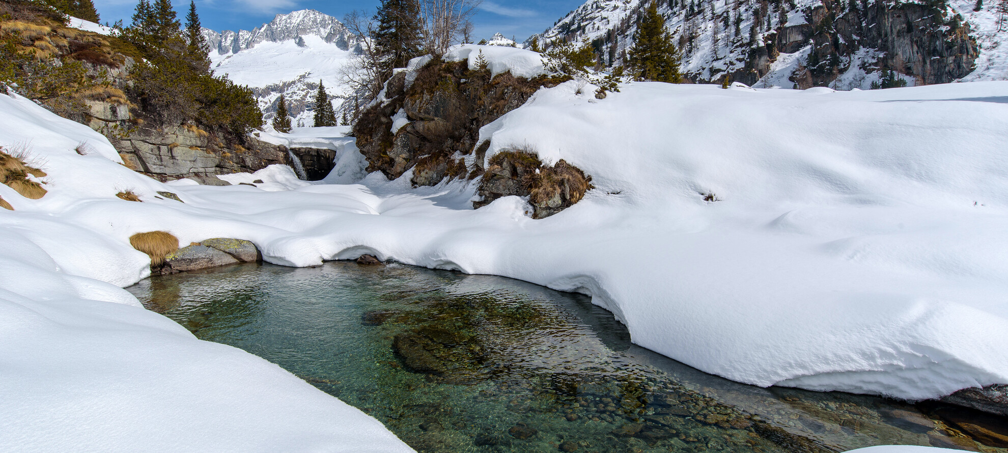 Отвлечься от всего на природе