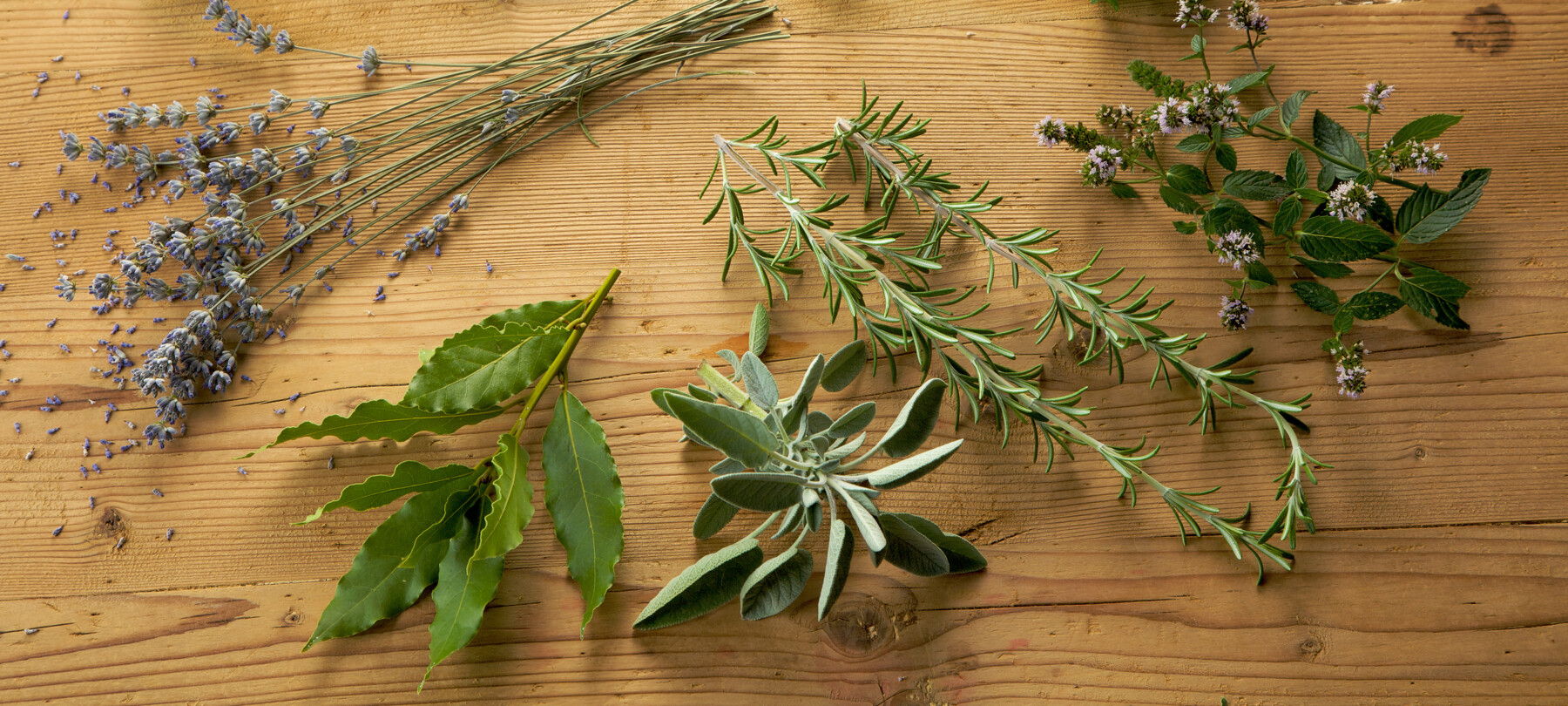 Na Boże Narodzenie podaruj swoim bliskim kosz smakołyków z Trentino