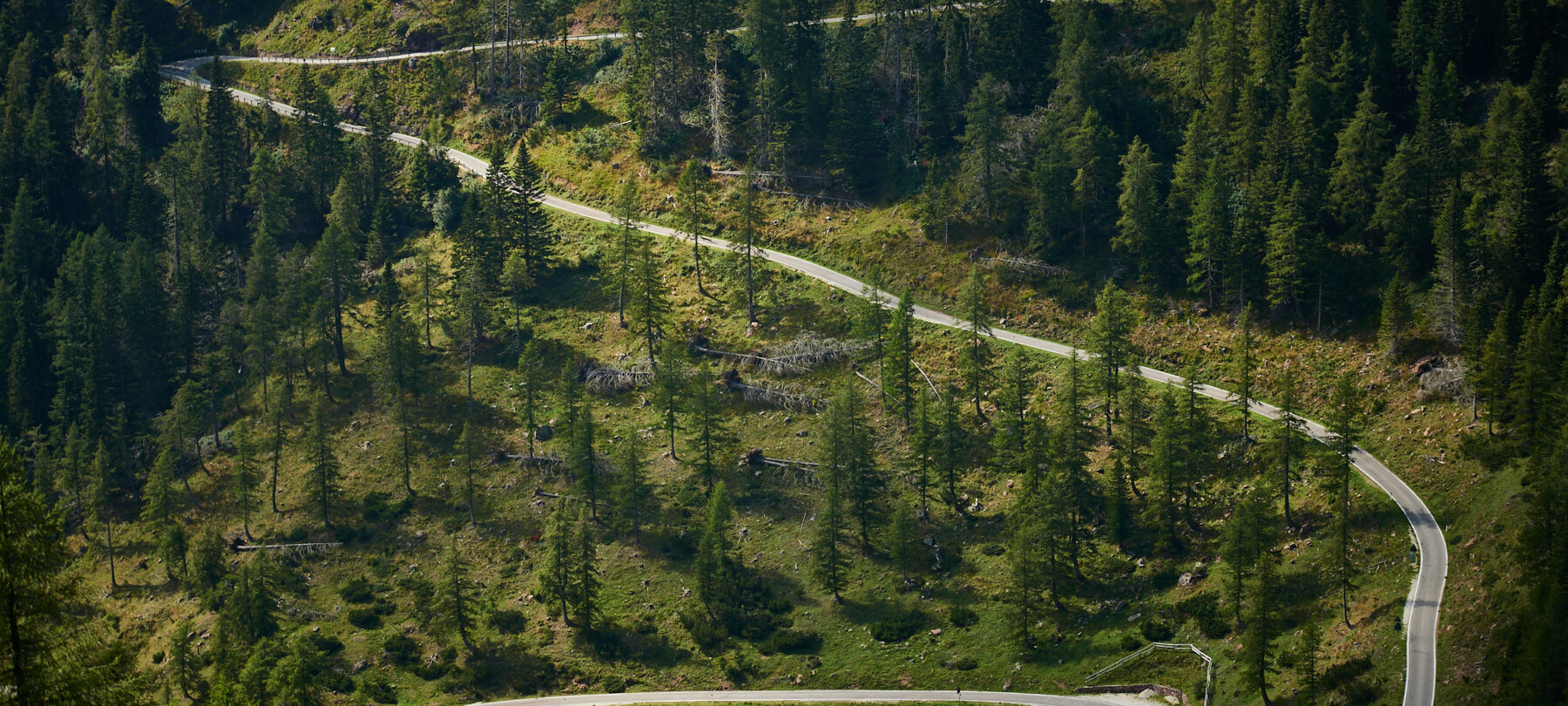 Grandi Salite del Trentino in Bici: Percorsi della Storia del Ciclismo