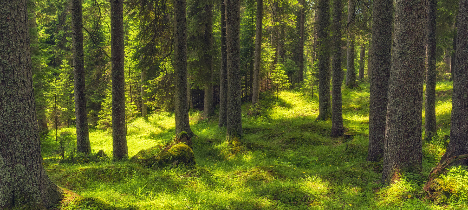 Dormire green: le nostre strutture sostenibili