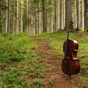 The Sounding Forest
