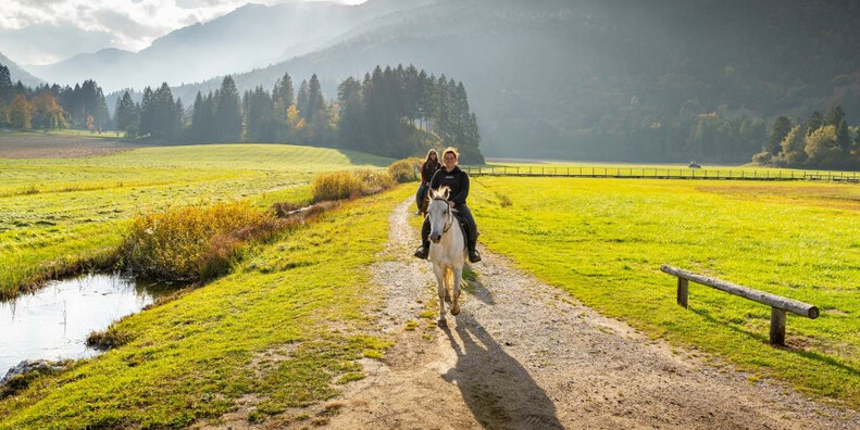 Maneggio Sentieri di Stelle #1