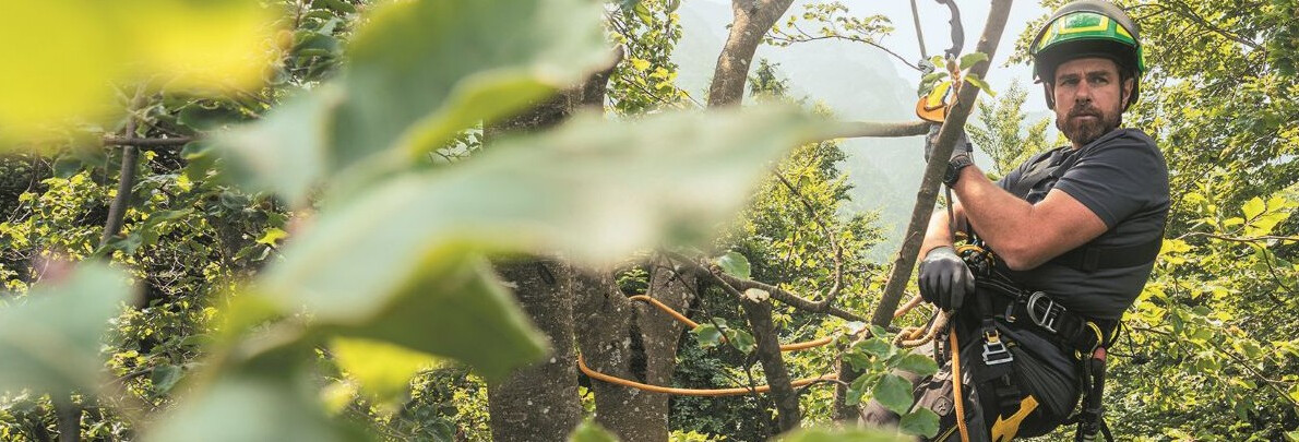 Das Gebirge im Herbst? Ein ganz anderes Schauspiel!