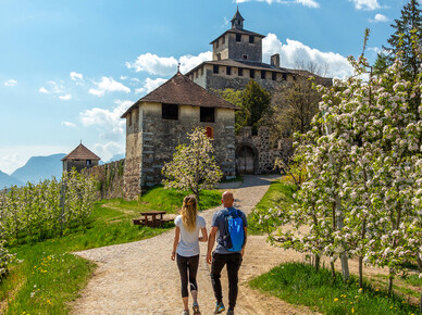 Booking in Trentino | Prenota la tua vacanza online