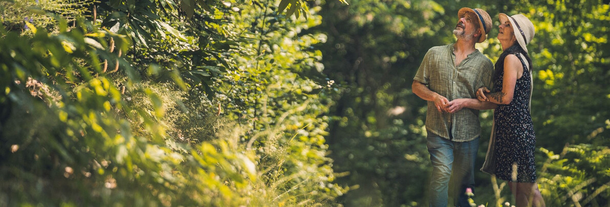 Das Gebirge im Herbst? Ein ganz anderes Schauspiel!