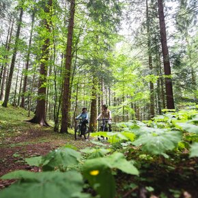 797 "Percorso Cavedago" | © APT Dolomiti di Brenta e Paganella