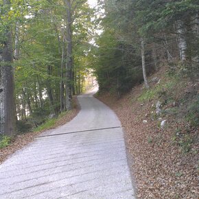 salita alla baita Meriz | © APT Dolomiti di Brenta e Paganella