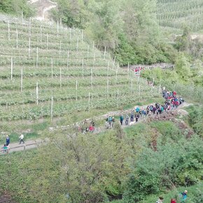 4 Ville in Fiore - Percorso lungo | © APT Val di Non Soc. Coop.