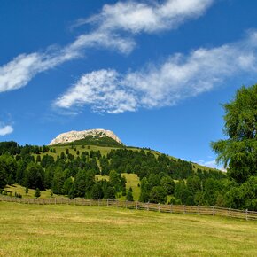 Passo Oclini - Zwischen Weiß-und Schwarzhorn | © APT Fiemme Cembra