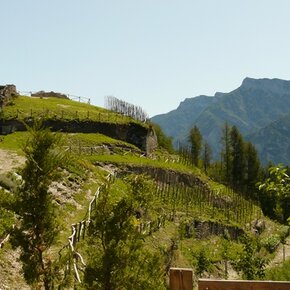 Panorama da Torre dei Sicconi | © APT Valsugana e Lagorai