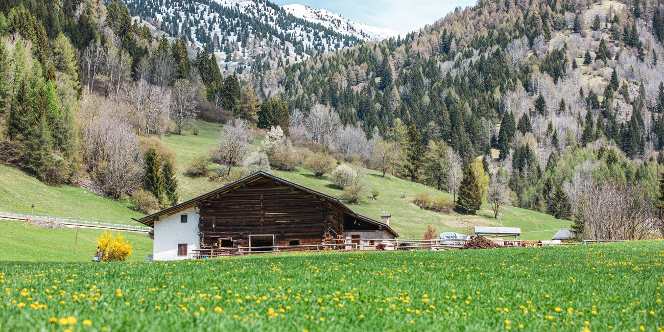 Bellamonte #1 | © APT Fiemme Cembra