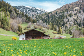 Bellamonte  | © APT Fiemme Cembra