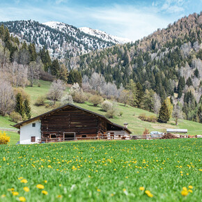 Bellamonte  | © APT Fiemme Cembra