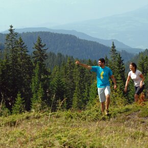 On the way | © APT Fiemme Cembra