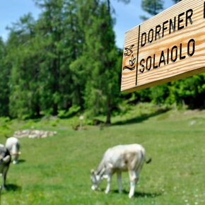 segnaletica | © APT Fiemme Cembra