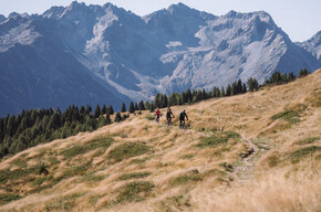 Trail Malga Campo N°707 | © APT Valli di Sole, Peio e Rabbi