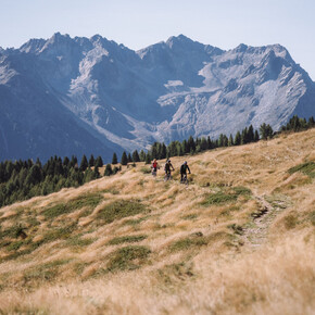 Trail Malga Campo N°707 | © APT Valli di Sole, Peio e Rabbi