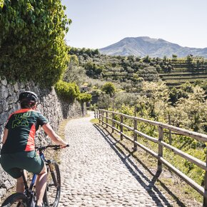 Strada del Pil tra i terrazzamenti di Tenno | © Garda Trentino 