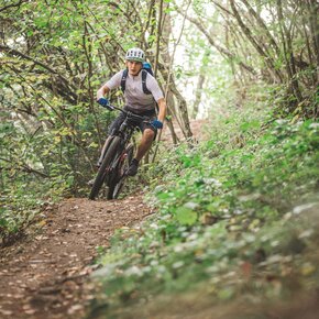 Discesa dal Monte Creino | © Garda Trentino 