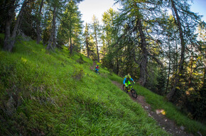 Trail Larici Secolari N°703 | © APT Valli di Sole, Peio e Rabbi