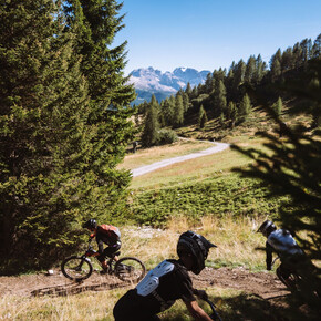 Trail La Preda N° 710 | © APT Valli di Sole, Peio e Rabbi