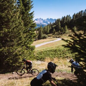 Trail La Preda N° 710 | © APT Valli di Sole, Peio e Rabbi