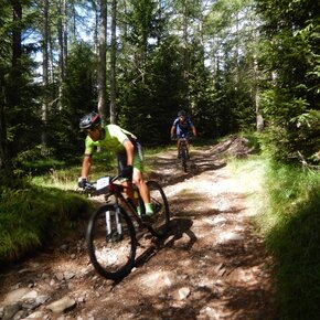 875 - Monte Corno | © Azienda per il Turismo Altopiano di Piné e Valle di Cembra