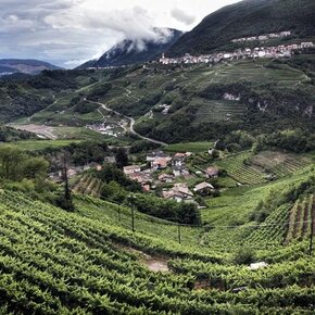 Vista panoramica Valle di Cembra | © Azienda per il Turismo Altopiano di Piné e Valle di Cembra