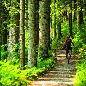 840 - Zimbarlant Tour | © Azienda per il Turismo Alpe Cimbra